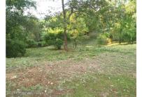 Lotes, Venta, Ricaurte - $500.000.000