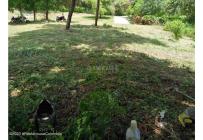 Lotes, Venta, Ricaurte - $500.000.000