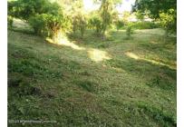 Lotes, Venta, Ricaurte - $500.000.000