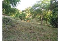 Lotes, Venta, Ricaurte - $500.000.000