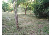 Lotes, Venta, Ricaurte - $500.000.000