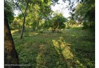 Lotes, Venta, Ricaurte - $500.000.000