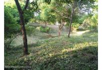 Lotes, Venta, Ricaurte - $500.000.000