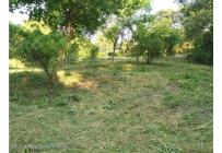 Lotes, Venta, Ricaurte - $500.000.000