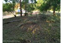 Lotes, Venta, Ricaurte - $500.000.000