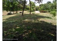 Lotes, Venta, Ricaurte - $500.000.000