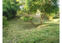 Lotes, Venta, Ricaurte - $500.000.000