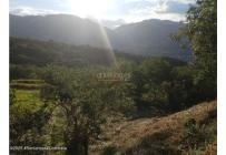 Lotes, Venta, Villeta - $480.000.000