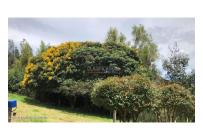 Lotes, Venta, Ubate - $699.000.000