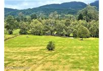 Lotes, Venta, Guasca - $800.000.000