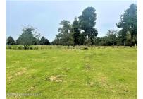 Lotes, Venta, Guasca - $800.000.000