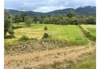 Lotes, Venta, Guasca - $800.000.000