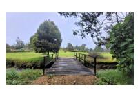 Lotes, Venta, Guasca - $800.000.000