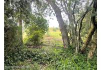 Lotes, Venta, Guasca - $800.000.000