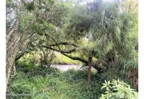 Lotes, Venta, Guasca - $800.000.000