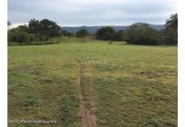 Lotes, Venta, Carmen de Apicala - $900.000.000