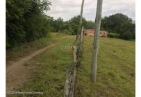 Lotes, Venta, Carmen de Apicala - $900.000.000