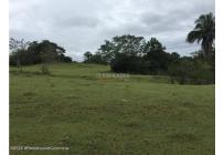 Lotes, Venta, Carmen de Apicala - $900.000.000