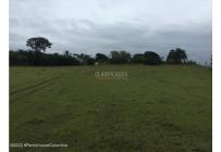 Lotes, Venta, Carmen de Apicala - $900.000.000