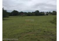 Lotes, Venta, Carmen de Apicala - $900.000.000