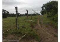 Lotes, Venta, Carmen de Apicala - $900.000.000