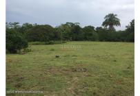 Lotes, Venta, Carmen de Apicala - $900.000.000