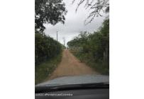 Lotes, Venta, Carmen de Apicala - $900.000.000