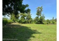 Lotes, Venta, Turbaco - $436.440.000