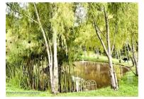 Lotes, Venta, Guasca - $2.200.000.000