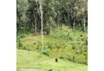 Lotes, Venta, Guasca - $2.200.000.000