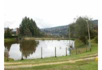 Lotes, Venta, La Calera - $1.600.000.000