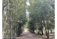 Apartamentos, Alquiler, La Calera - $1.800.000