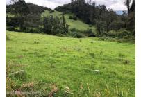 Lotes, Venta, La Calera - $1.150.000.000