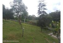 Lotes, Venta, Arbelaez - $160.800.000