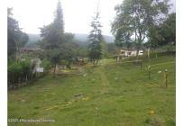 Lotes, Venta, Arbelaez - $196.200.000