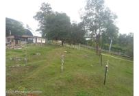 Lotes, Venta, Arbelaez - $196.200.000