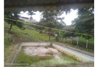 Lotes, Venta, Arbelaez - $196.200.000