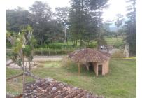 Lotes, Venta, Arbelaez - $283.880.000