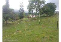 Lotes, Venta, Arbelaez - $283.880.000