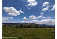 Lotes, Venta, Zipaquira - $320.000.000