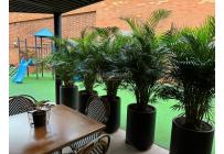 Apartamentos, Alquiler, Bellavista - $17.490.000