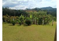 Fincas y Casas Campestres, Venta, La Cumbre - $1.100.000.000