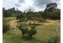 Lotes, Venta, La Cumbre - $190.000.000