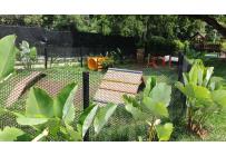 Apartamentos, Alquiler, Ciudad Bochalema - $2.200.000