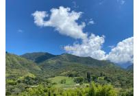 Lotes, Venta, La Buitrera - $420.000.000