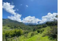 Lotes, Venta, La Buitrera - $420.000.000