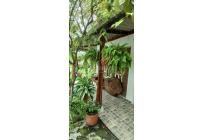 Fincas y Casas Campestres, Venta, Palmira - $450.000.000