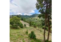 Fincas y Casas Campestres, Venta, Yumbo - $599.930.000