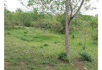 Lotes, Venta, Vijes - $350.000.000