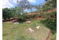 Fincas y Casas Campestres, Venta, La Cumbre - $320.000.000